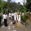 Thaipongal Festival_16.01.2019